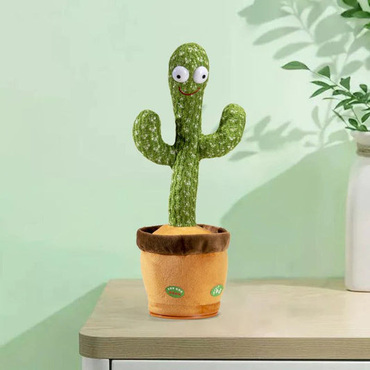 CACTUS MILO BAILARIN + ENVÍO GRATIS